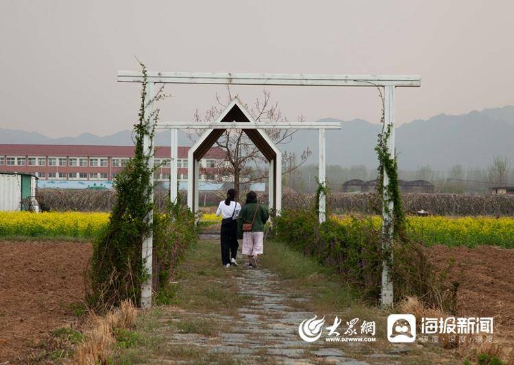 烟台市莱山区崖前村在青山绿水中书写乡村振兴锦绣文章