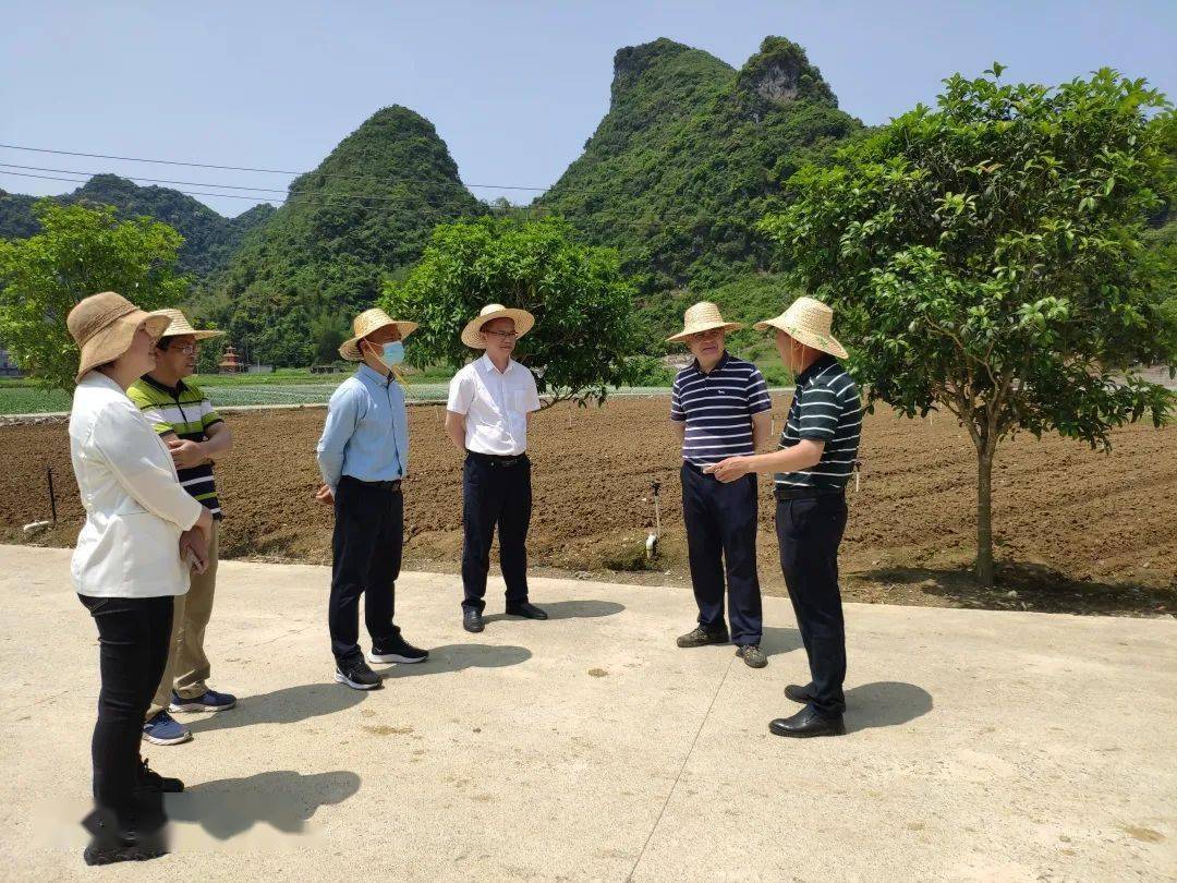 在永州镇三村广西盈润首饰有限公司,企业负责人韦景结向调研组介绍了