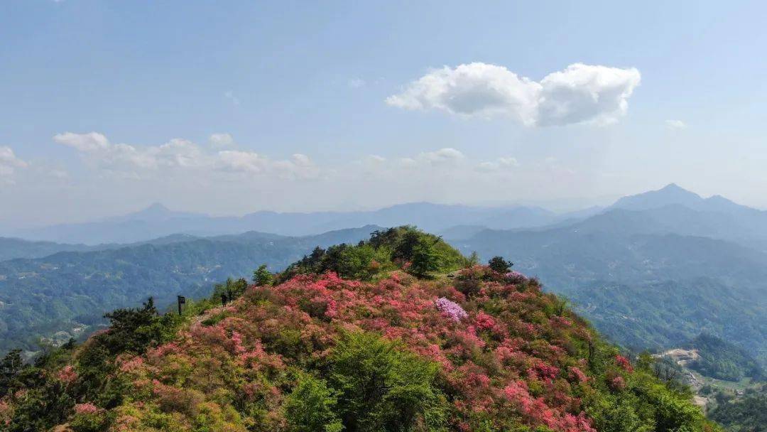 摄影欣赏云雾中的英山胜仙景