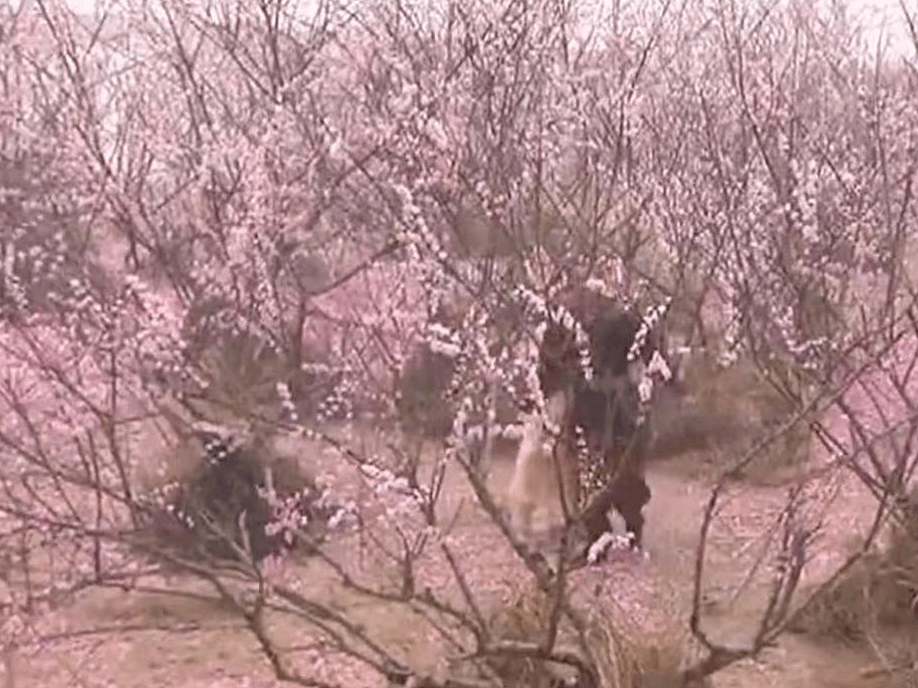 快跟着剧情一起细数舟山的