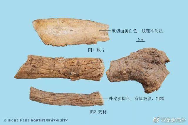 中药鉴定学速记歌诀带图谱