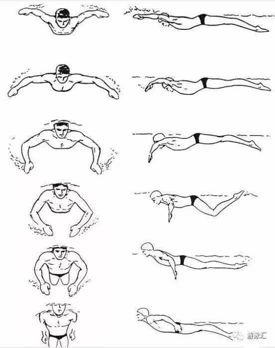 谈谈蝶泳发力的根本,如何腰腹部发力!_波浪_身体_动作