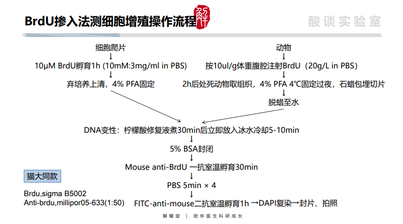 有救啦cck8mtt划痕实验transwell实验pi染色等14个实验巨详细