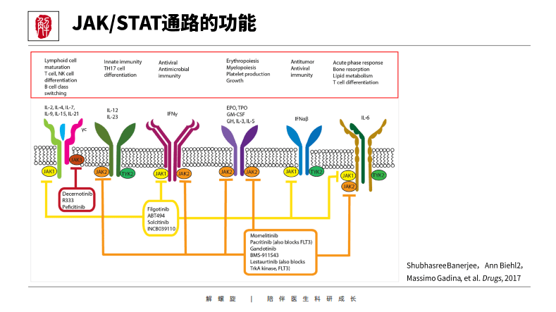 图文并茂mapkpi3kaktrtk相关tgfβ超家族等12个信号通路一站搞定