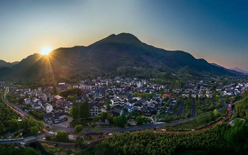 杭州径山村:从贫困村到亿元村的蝶变之路_山茶_乡村_村里