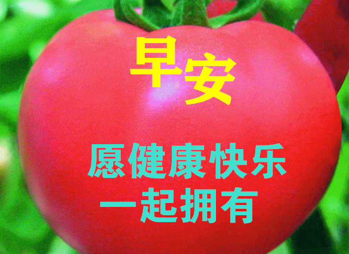 676月7日最漂亮早上好动态表情图片及早晨好动图美图大全2022年最