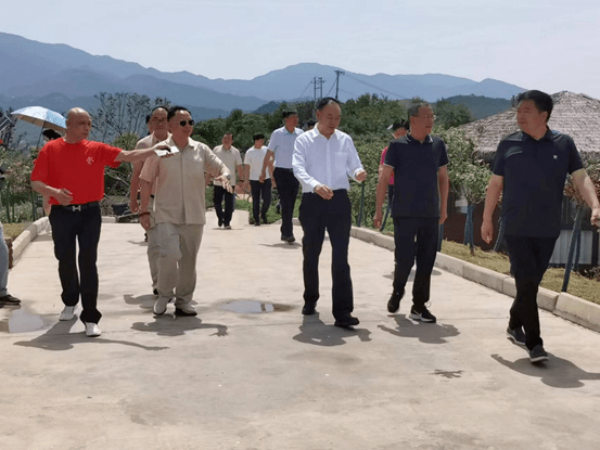 邝远平,徐铁明,田少锋等企业家先后来到周巷镇新龙村,孝孟红生态农业