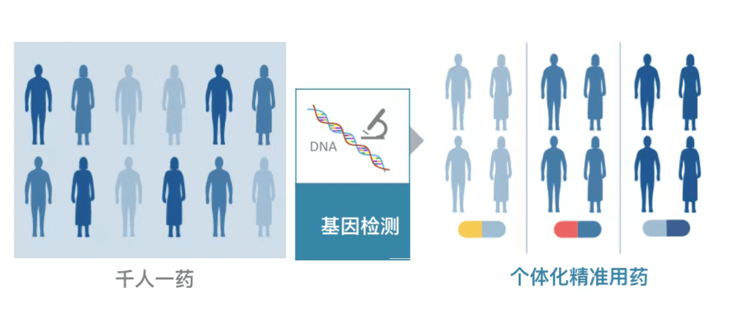 医院开展多项药物基因检测项目,助力患者精准用药_临床_个体化_治疗