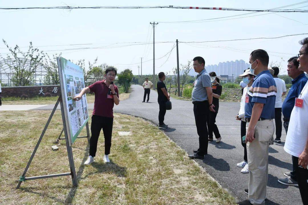 这里的诗画田园,让代表委员赞不绝口_街道_千村_建设