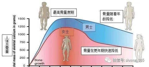 长期如此,随着年龄的增长,骨钙流失会增多,前期的骨钙积累显得尤为