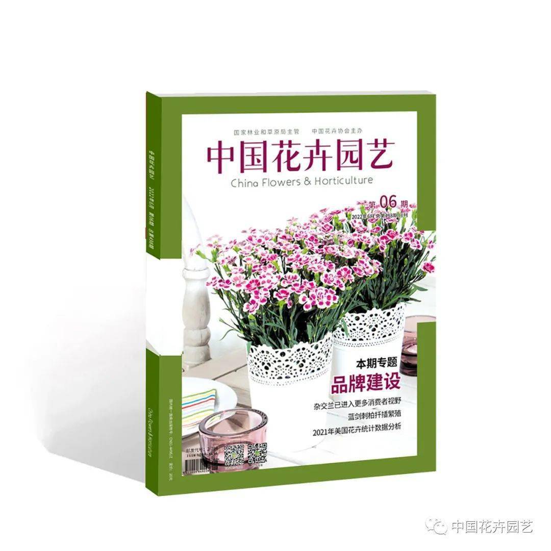 中国花卉园艺2022年第6期品牌建设专题新刊推荐