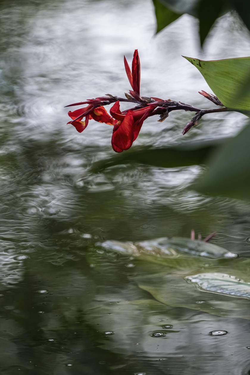 记录珍稀野生动物 富士x-t4配长焦头美好不设限_对焦_mmf_镜头