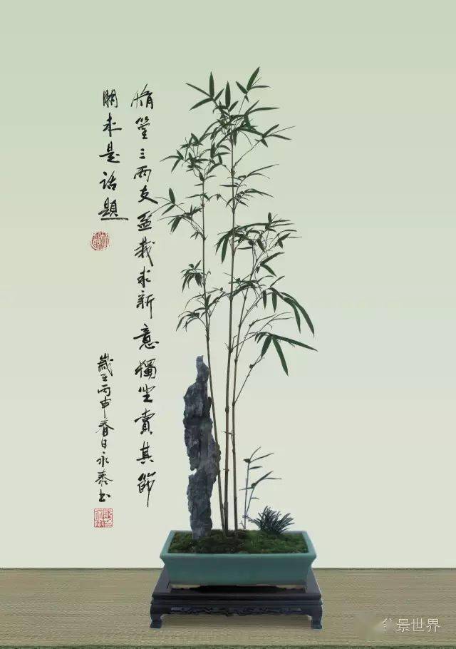 郑永泰大师教你做竹子盆景