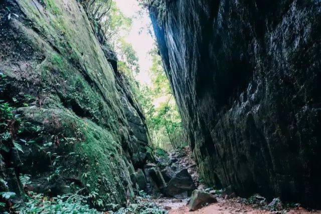 一段水泥路,上了台阶便是"天聚亭",旁边有一石岩,撑着许多小木棒,我