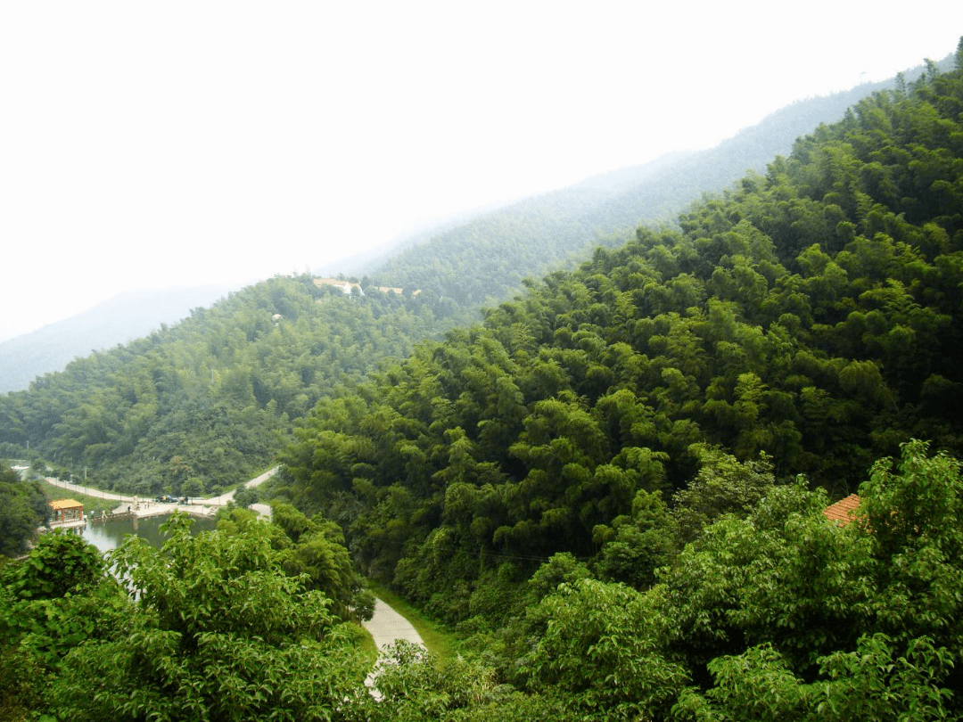 漫步桃花山爱情公路,俯瞰山下田园风光,在傅家竹林,哑口水库体验夏日