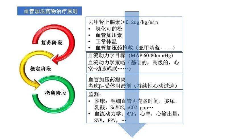 休克患者的血压加压药保留策略:范围综述和循证策略的建议_研究_血管