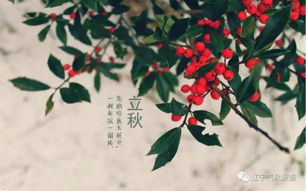 再热一天,明日"立秋,消暑的雨已在路上_地区_阵雨_气温