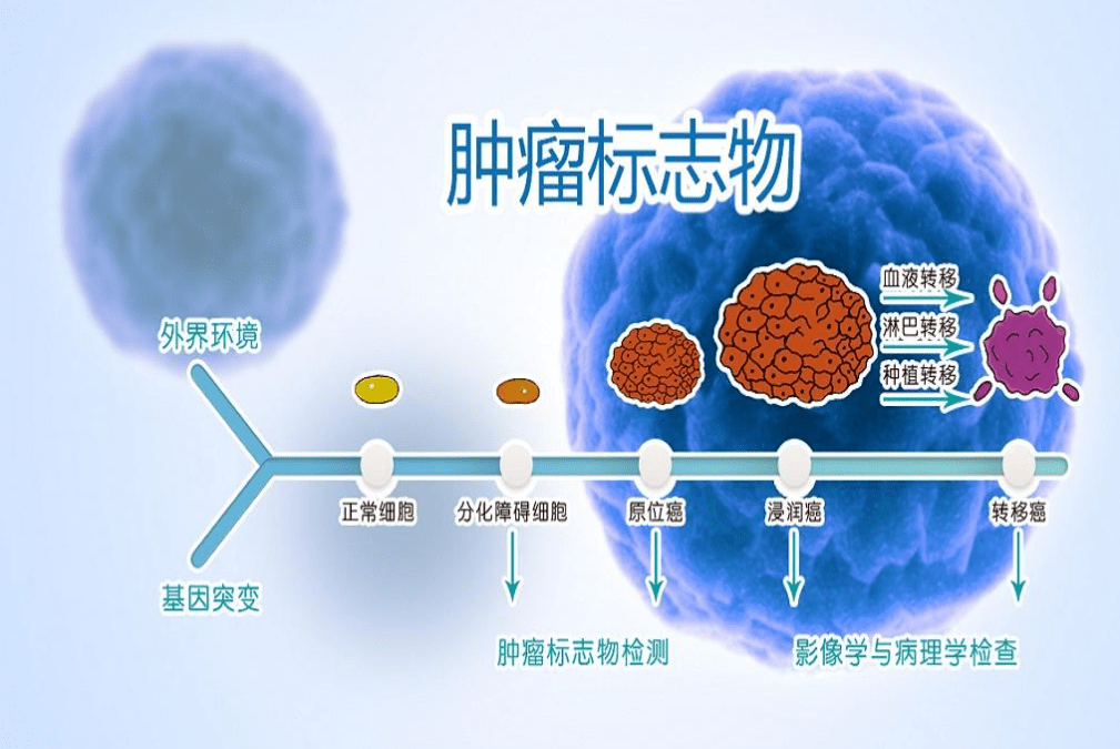 25种肿瘤标志物及其临床意义_诊断_抗原_患者