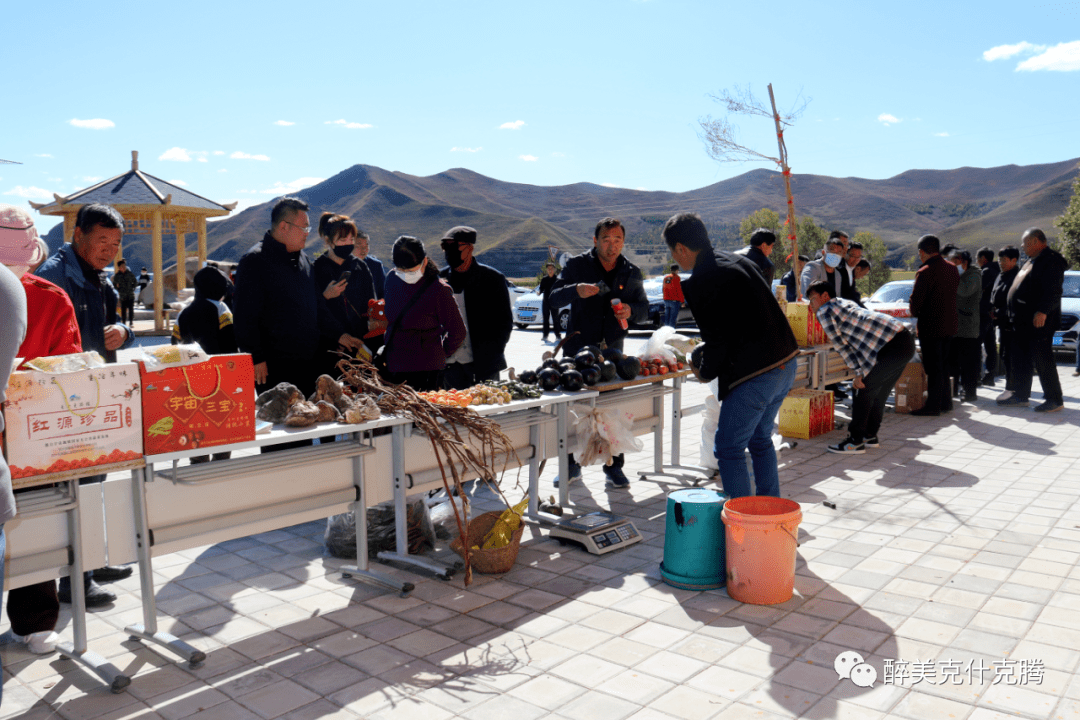 【旗县动态】扎兰屯市 扎赉特旗 克什克腾旗 五原县 阿拉善左旗