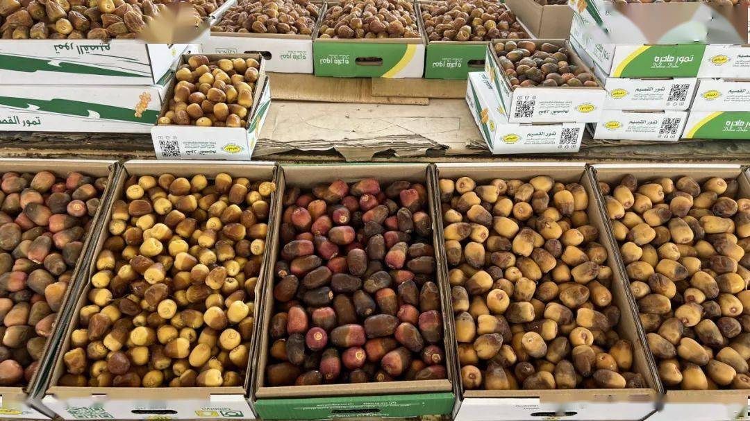 һ�γ���ɳ��ȫ��Ҭ�����࣡��ȥ�������ι���ȫ������ ...