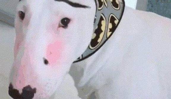 原创
幽默笑话:你怎么嘴唇发紫,到底吃了什么?