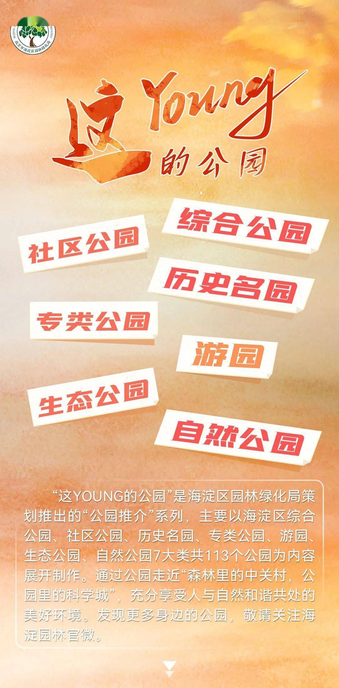 这「young」的公园，正式上线