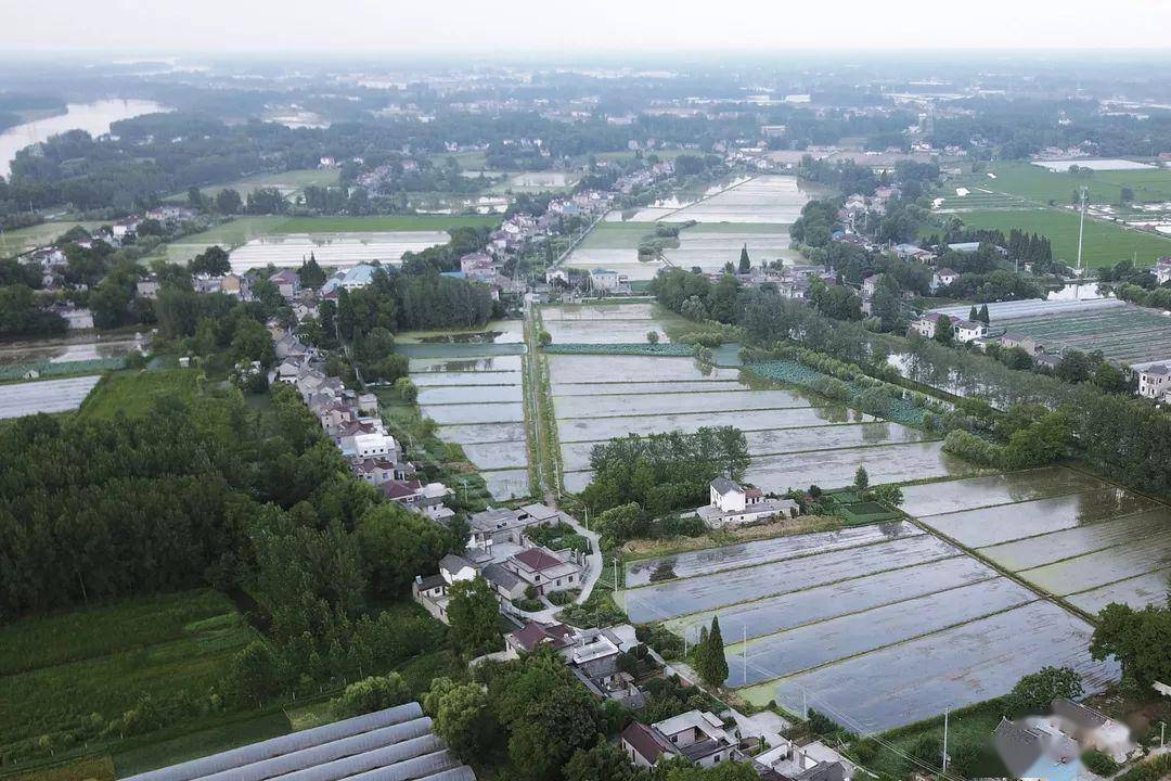 沙头村是"沙头蔬艺体验特色小镇"的核心区,同时是"扬州市区菜篮子基地