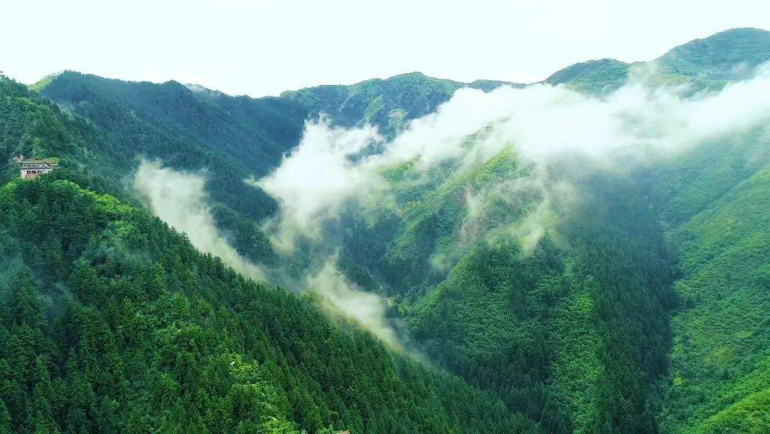 好消息！兴隆山门票半价优惠