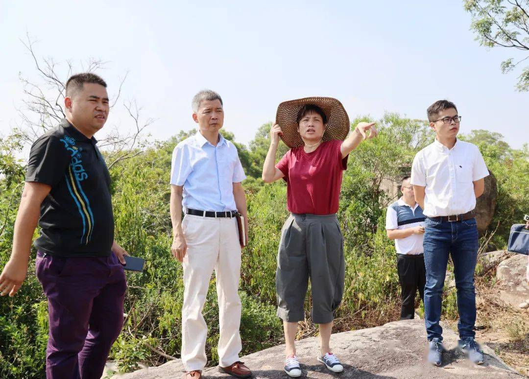 台商区管委会主要领导检查森林防火工作_梁炳辉_洛阳镇_巡查