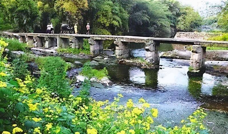 身家百万的餐馆老板跳江连救四人女儿曾在同处溺亡发誓不当米乐M6 M6米乐看客(图9)