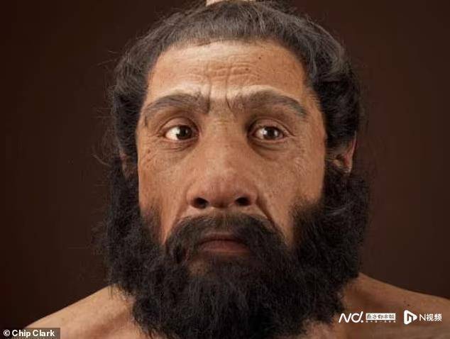 尼安德特人与人类的混血大部分发生在5万年前左右的近东地区