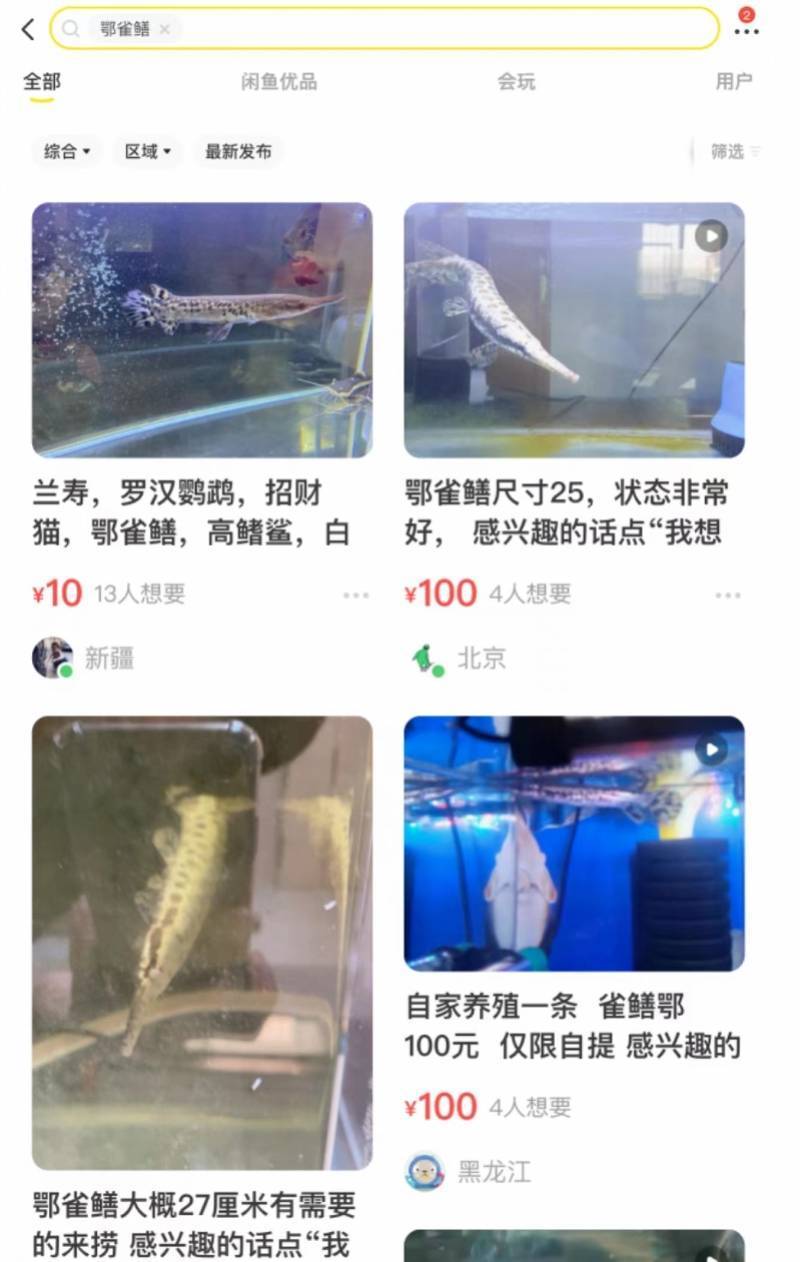 全网热议的鳄雀鳝：网上一二十元可买到，擅自放生或涉嫌犯罪