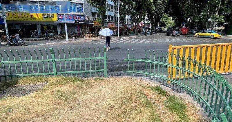 龙珠体育app福建一马路绿化带围栏缺失市民图方便直接横穿马路！实在太危险！(图1)