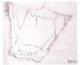 步骤三:赭石丝虎爪的毛丛.