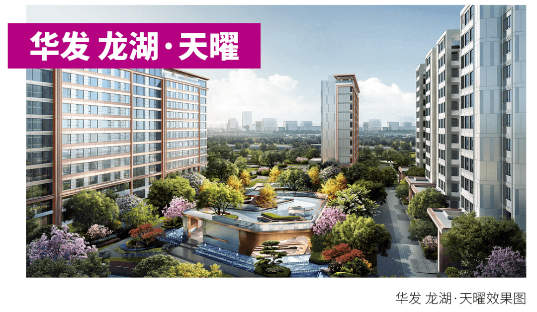 老大之争:和平湾vs长白岛_板块_进行_笔者