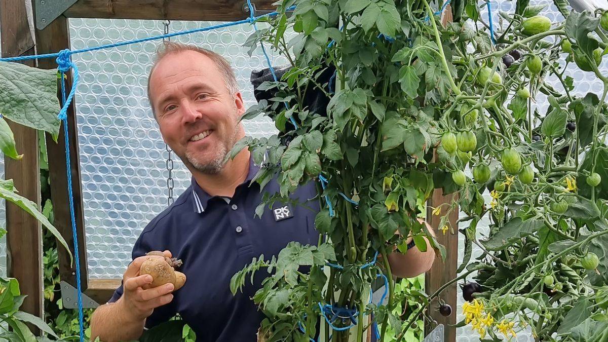 英国一家庭种出2.1米高马铃薯 打破世界纪录