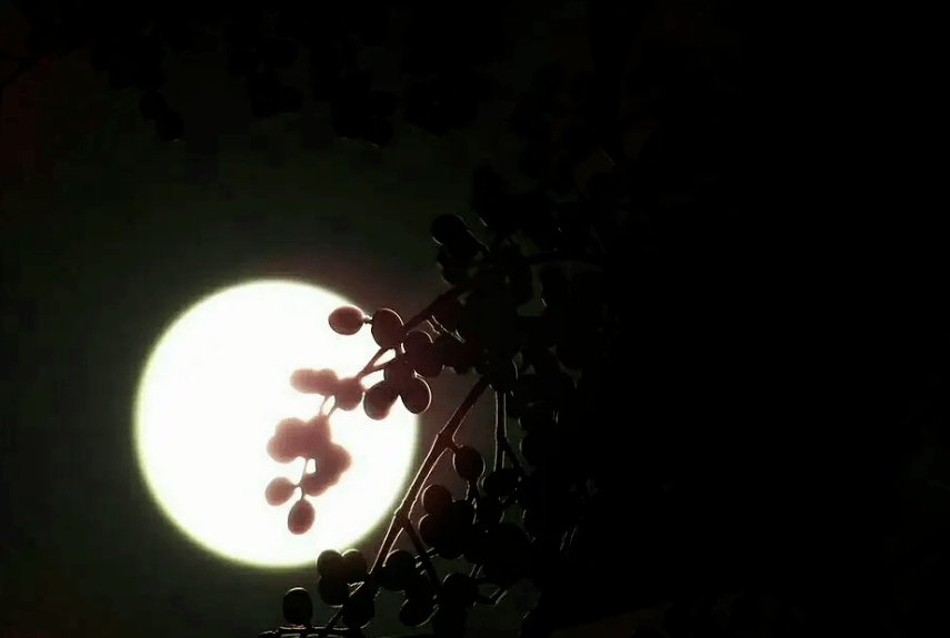 【诗词鉴赏】夜寂静 寒声碎，十首有关秋夜的诗词，如画般唯美，醉在其中！