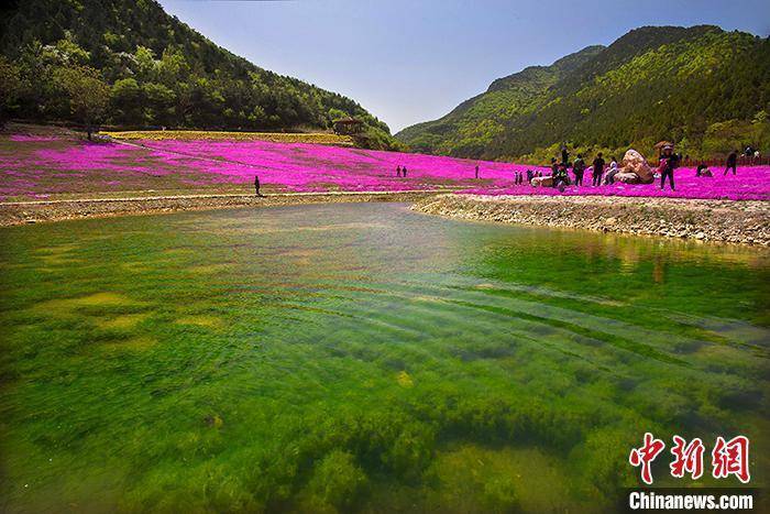 一起体验“森呼吸” 山西太行洪谷康养旅游“清心养肺”