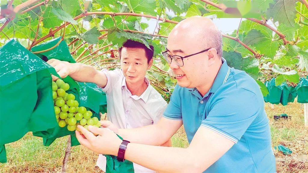 【县域纵横·汉阴】绿水青山显魅力 生态旅游绽生机