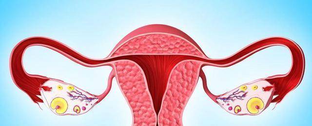 导致女性卵巢早衰的因素(图1)
