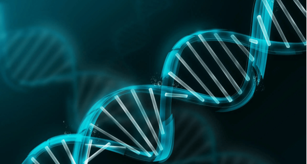上海试管婴儿排名第一（原创
            脊髓移植手术，竟能实现“夺舍”？甚至连血液和精液都成别人的）