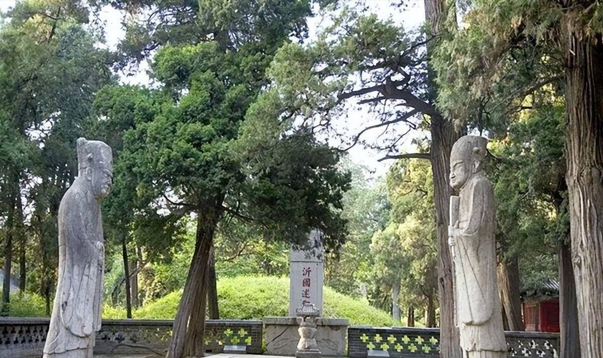 山东孔林为何能乌鸦远避,蛇类不侵?