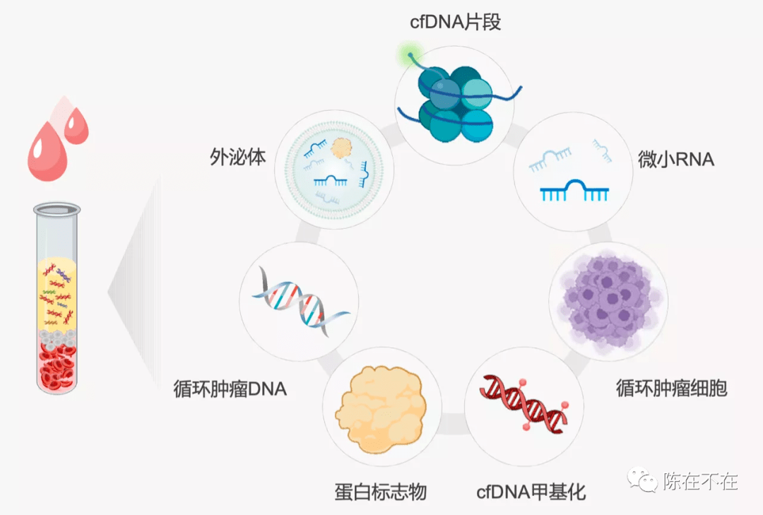 再谈肿瘤早筛—以肝癌为例_cm_来源_国家癌症中心