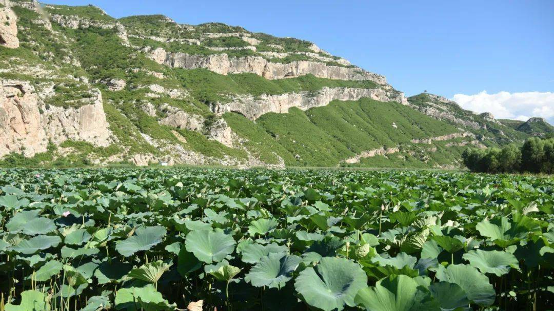 怎么才能让南亮子村和水泉村一样,富起来,王德文陷入深深的思考.