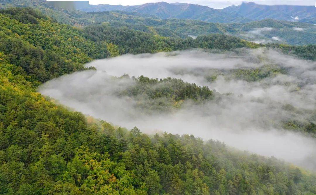 吉林仙景台国家风景名胜区大布苏的泥林地质,连峰接岭,形状各异,气势