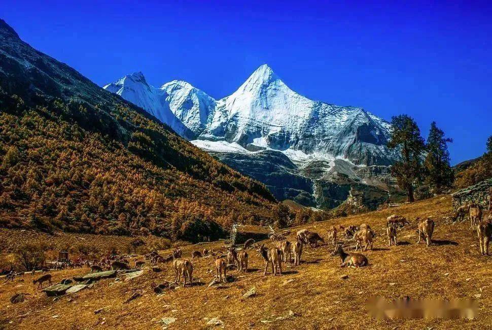 ��ȫ����ļ�����㴨��֮�����Ƕ����뿨�������﹵�������� ...