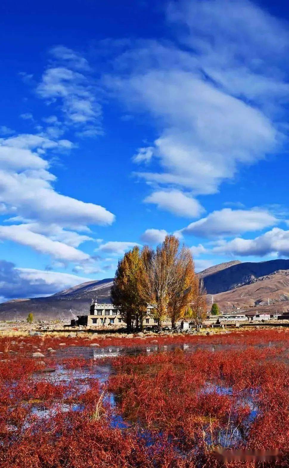 ��ȫ����ļ�����㴨��֮�����Ƕ����뿨�������﹵�������� ...