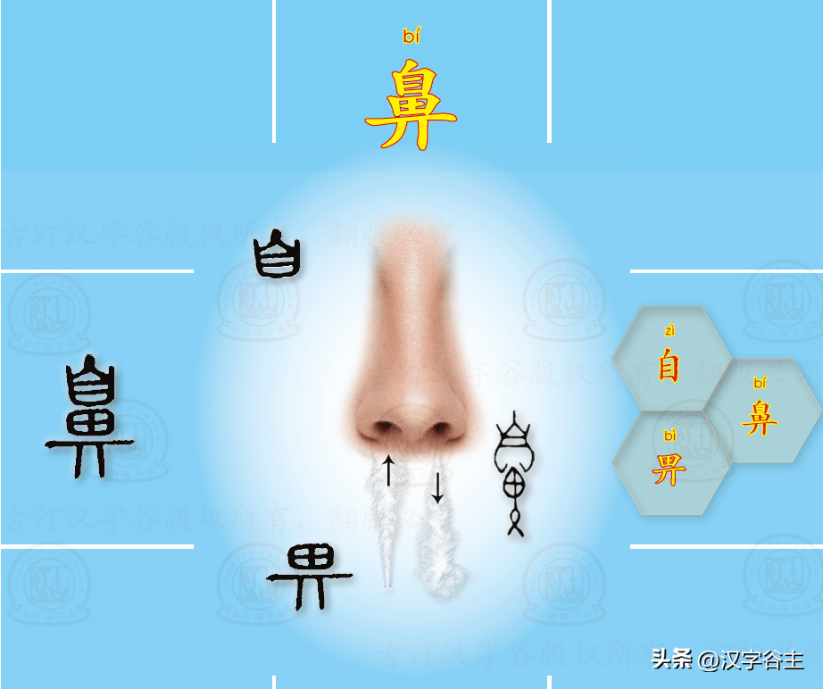 快为孩子收藏吧——满身有成语：1000个人体本身部位成语大全