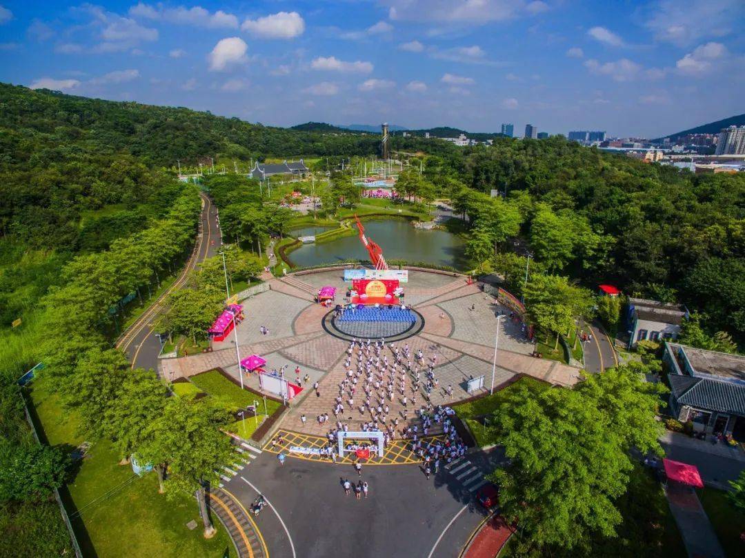 50张美图见证龙江"乡村蝶变|我要上佛山发布_陈志坤_李海廉_左滩