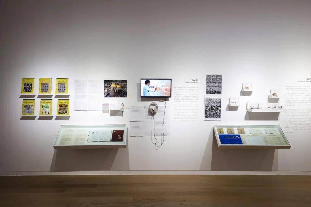 �����죺�����˶Ծ��ӵ����������Ӧ���á��ж���������